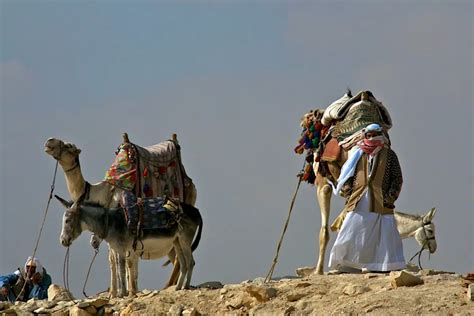 La Rebelión de los Beduinos en Hispania: Un Desafío a la Autoridad Romana y la Floreciente Cultura Berber